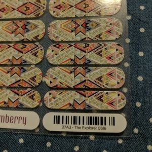Rare Jamberry Wraps - The Explorer, full sheet